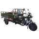 200CC Water Cooling 60KmH Max Speed Motorized Tricycle 1