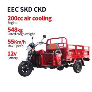 Gasoline Cargo Tricycle JYZ150ZH-3 Cyclemix