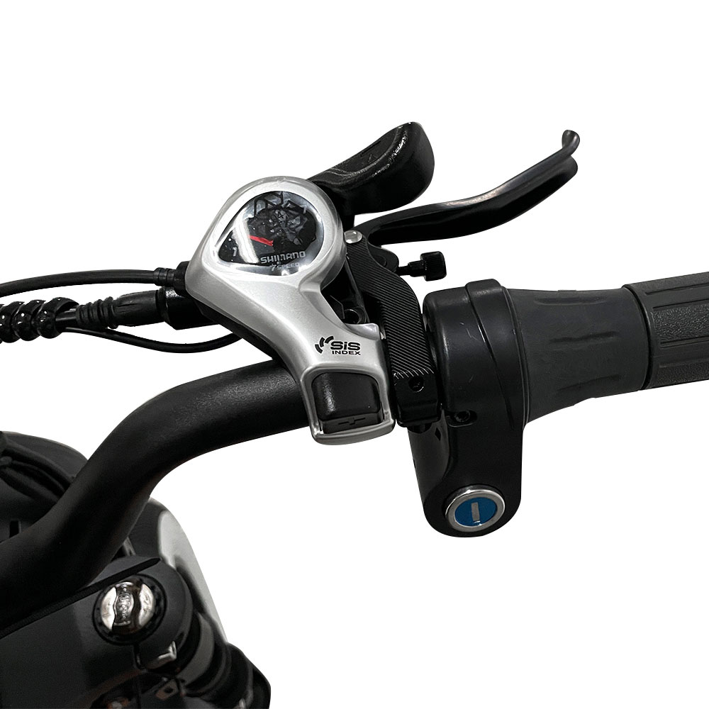 V1S Optional 500W 750W 1000W 20inch 48V 35Ah Lithium Battery EBike 3