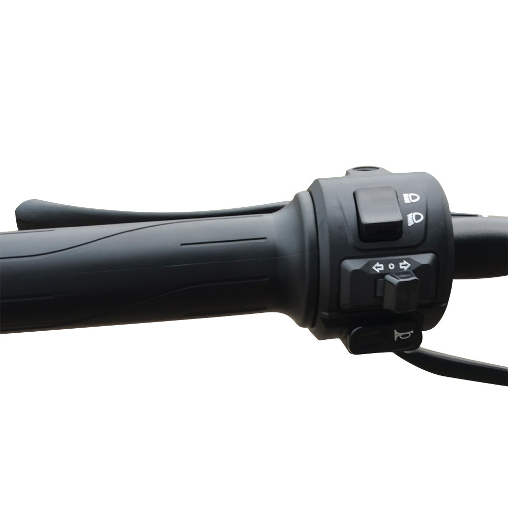 GB-21 650W 48V 20 24Ah 43KmH Range 60-80Km Electric Bikes 5