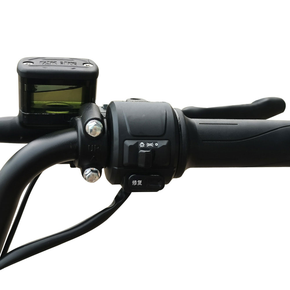 GB-21 650W 48V 20 24Ah 43KmH Range 60-80Km Electric Bikes 7
