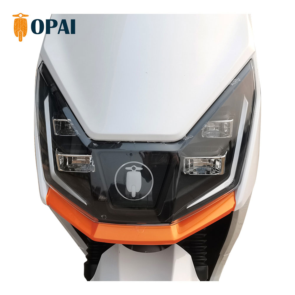 YW-09 1200W 72V 20 30Ah 45KmH Range 80-100Km Electric Motorcycle 9