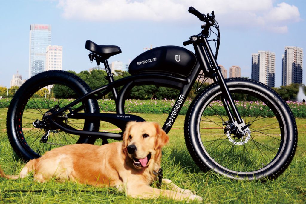 Electric Bikes What Happens When They've Seen Some Miles - Cyclemix