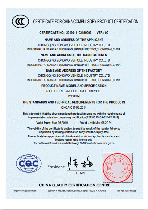 Cyclemix Certificate 1