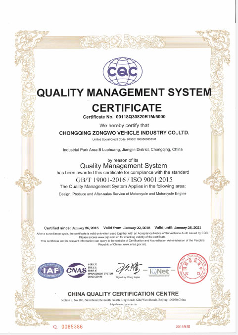 Cyclemix Certificate 3