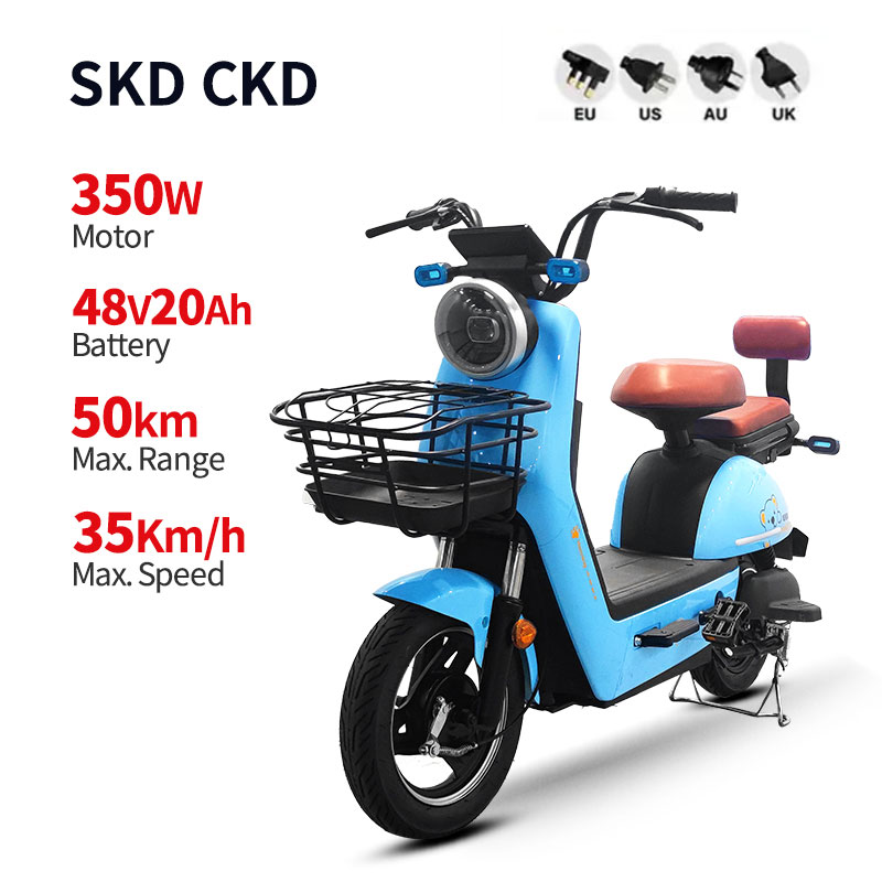 Electric Bike LZ 350W 48V 20Ah 35kmh images01