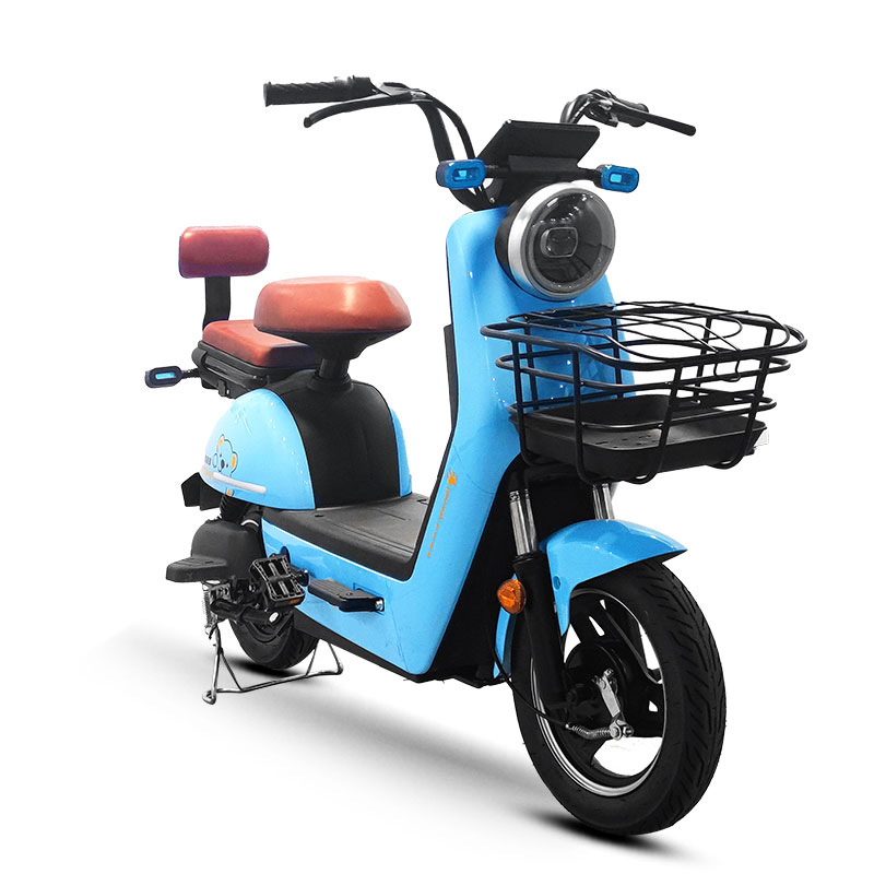 Electric Bike LZ 350W 48V 20Ah 35kmh images02