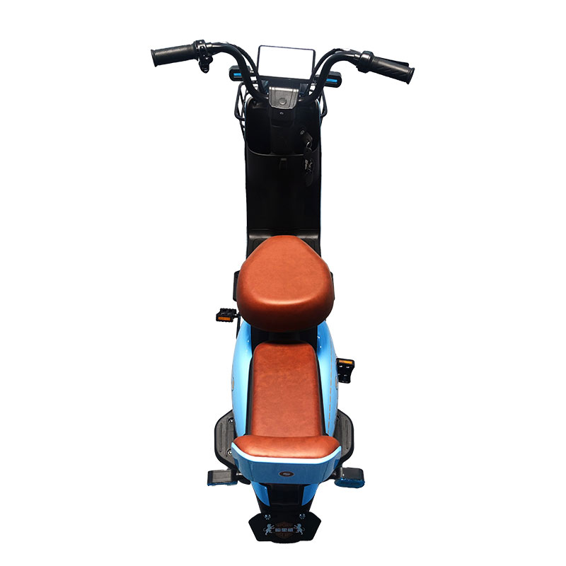Electric Bike LZ 350W 48V 20Ah 35kmh images04