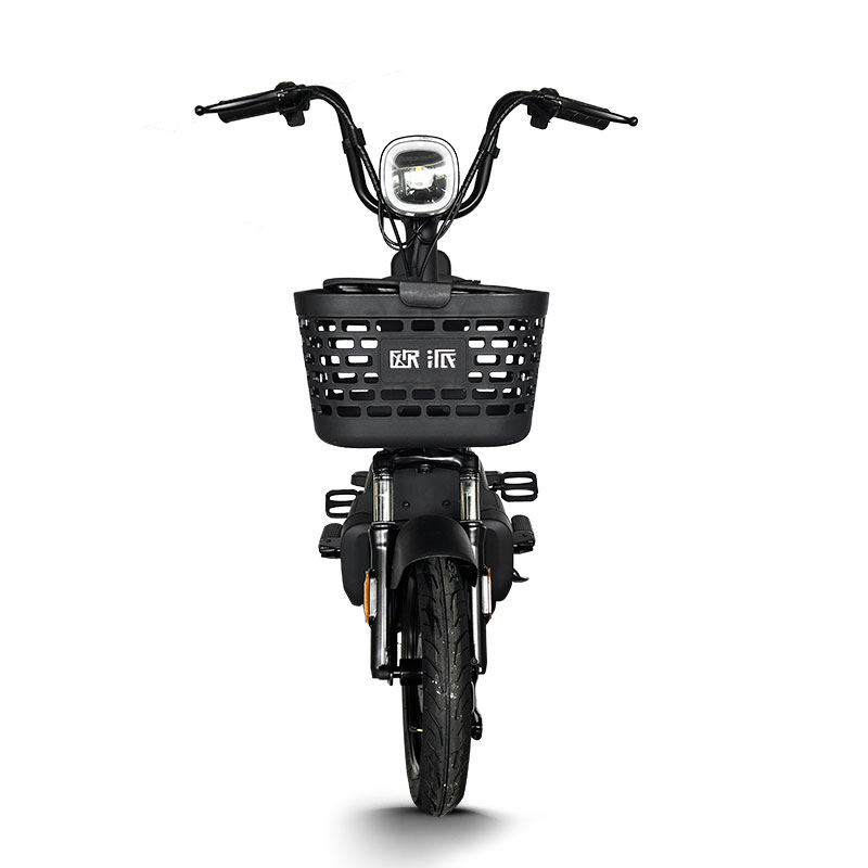 Electric Bike GB-36 350W 48V 20Ah 30kmh images04