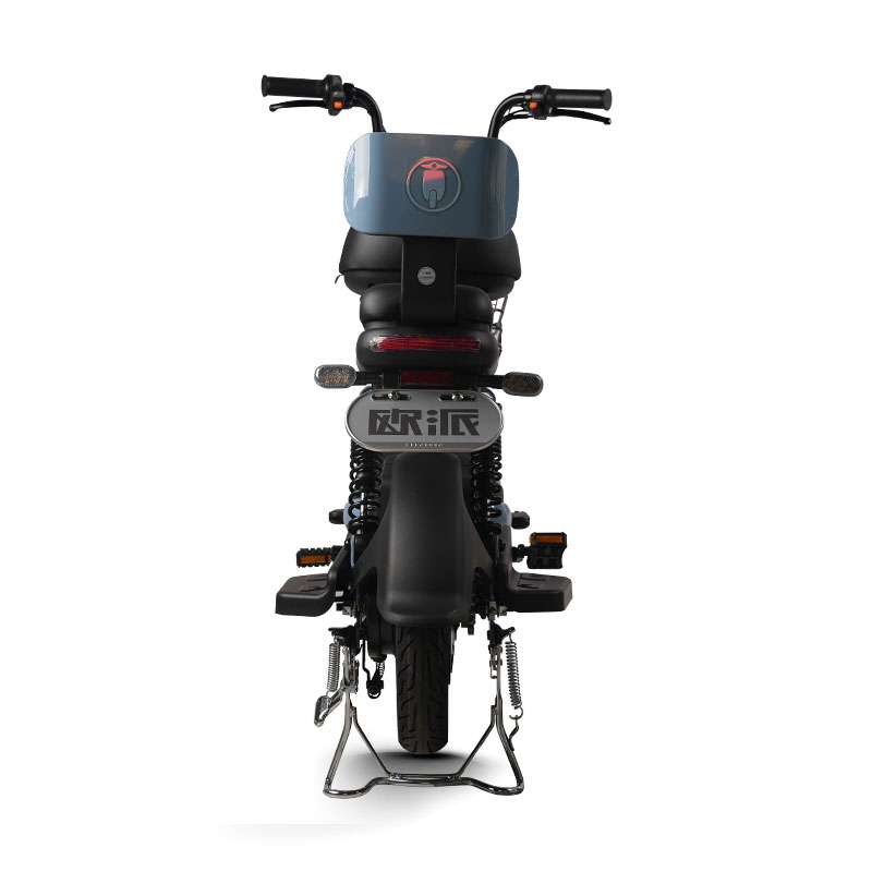 Electric Bike GB-62 400W 48V60V 20Ah 35kmh images05