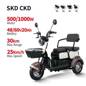 Electric Passenger Tricycle F1 Plus 500W1000W 48V60V 20Ah 25kmh images01