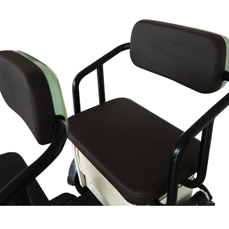 Electric Passenger Tricycle F3-G 500W 48V60V 20Ah 25kmh images06