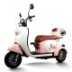 Electric Passenger Tricycle V1-1-1 500W 48V60V 20Ah 25kmh images03