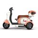 Electric Passenger Tricycle V1-1-1 500W 48V60V 20Ah 25kmh images04