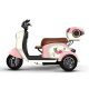 Electric Passenger Tricycle V1-1-1 500W 48V60V 20Ah 25kmh images06
