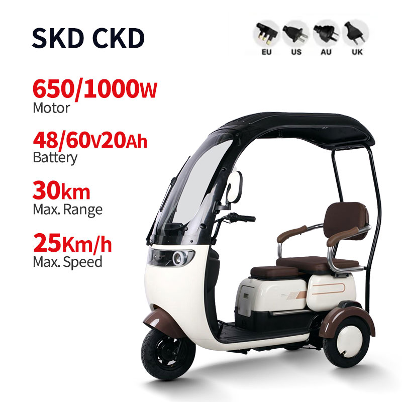 Electric Passenger Tricycle V5-1 650W1000W 48V60V 20Ah 25kmh images01