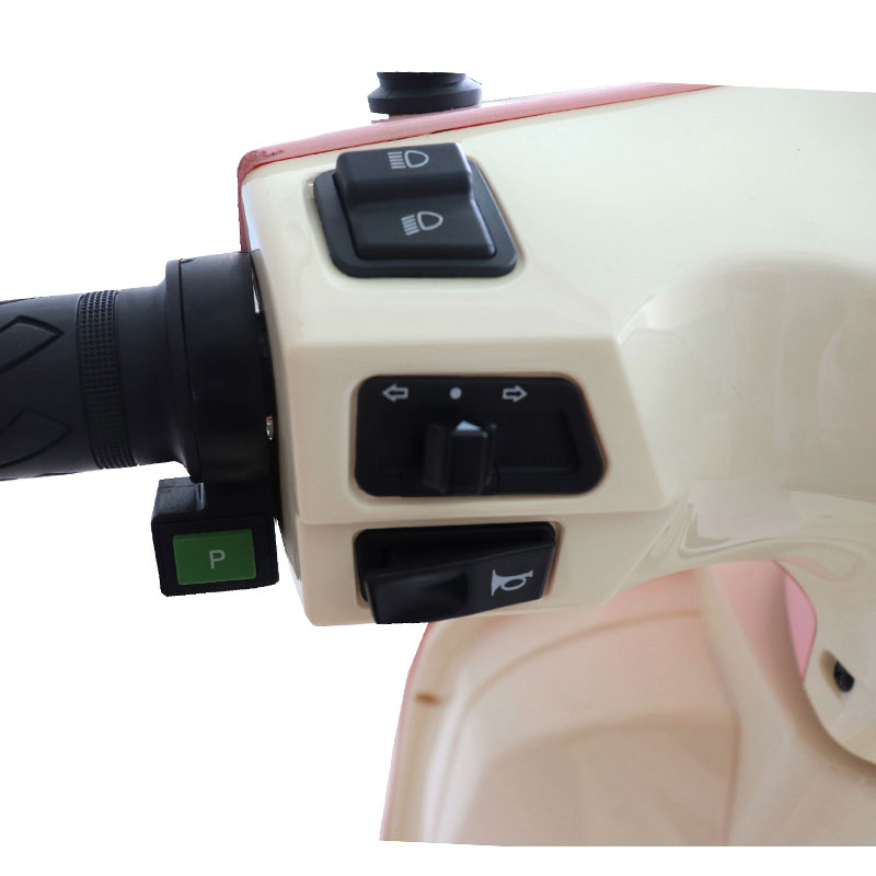 Electric Moped LMYG 1000W-2000W 60V30Ah48V60Ah60V20Ah 45kmh (EEC) images06